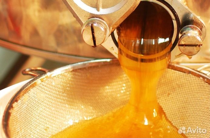 Мёд натуральный из Алтая опт от 16 кг