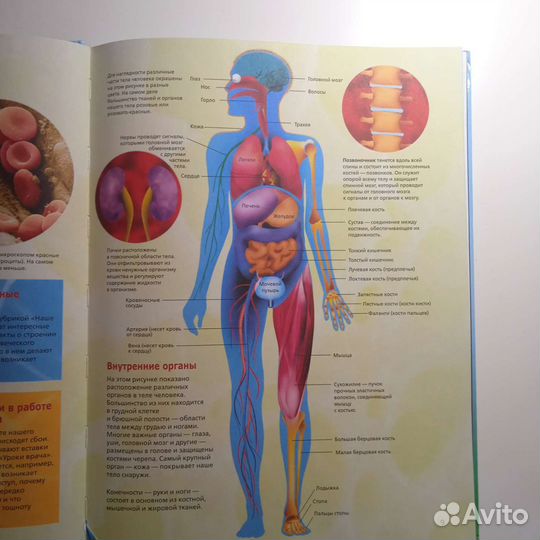 Детская энциклопедия