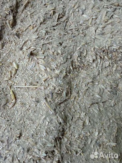 Корм для животных