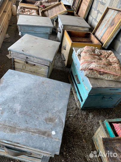 Улья для пчёл