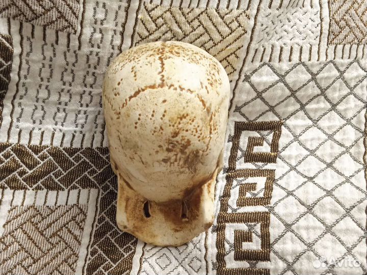 Череп декорация для аквариума