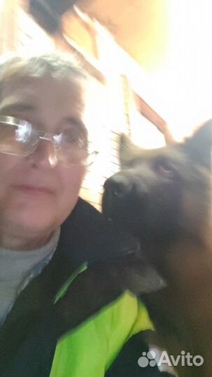 Подработка