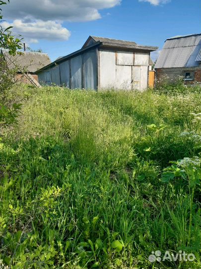 Покос травы и уход за участком