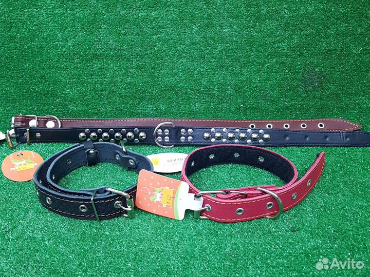 Ошейник для собак