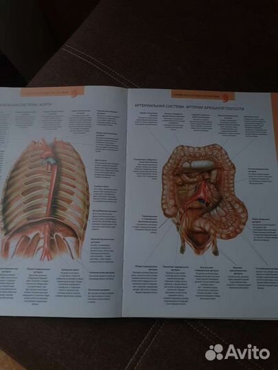 Книги (много)