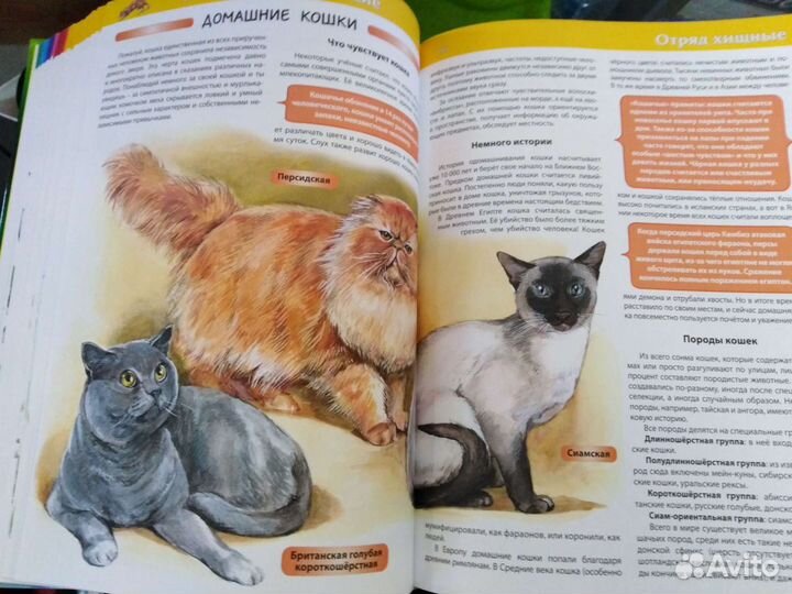 Энциклопедия животных