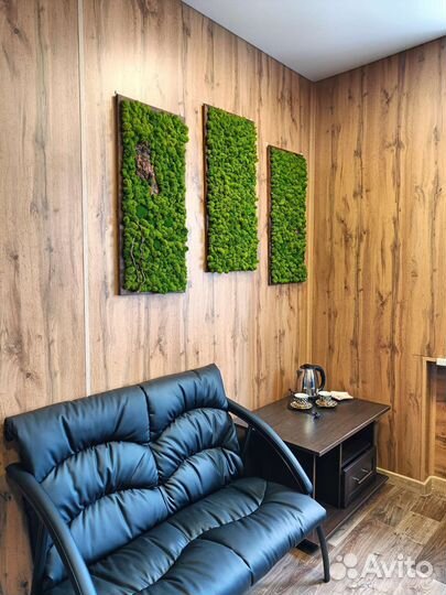 Стабилизированный мох, вертикальное озеленение