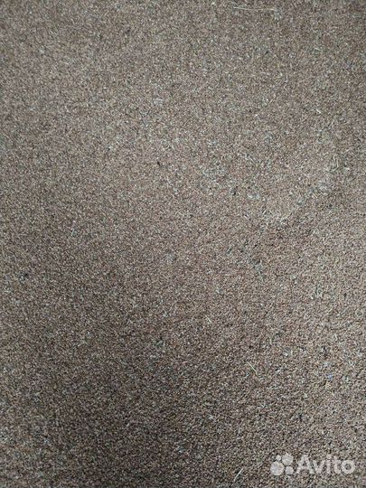 Зерно пшеница