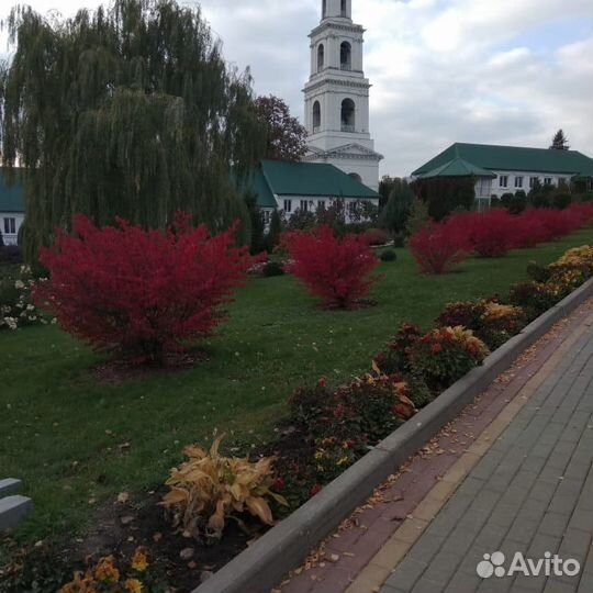 Ворнеж-Елец + Воргольские скалы + Елецкая Бавария
