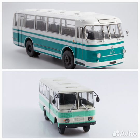 Автобусы Модимио