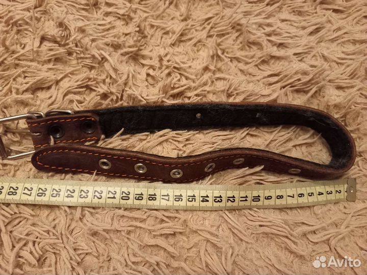 Ошейник и поводок