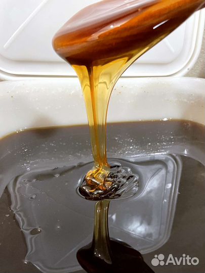 Мед гречишный свежий