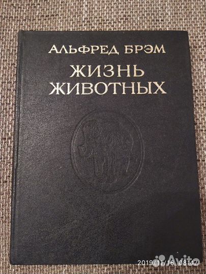 Книги и справочники