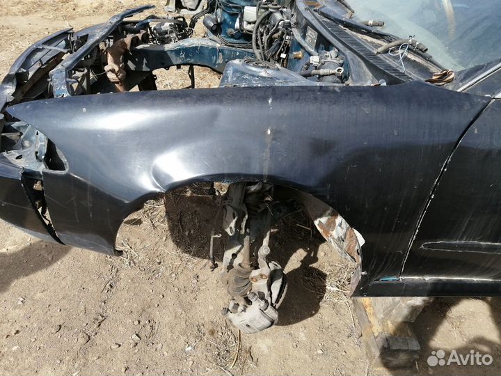 Крылья передние на Марино