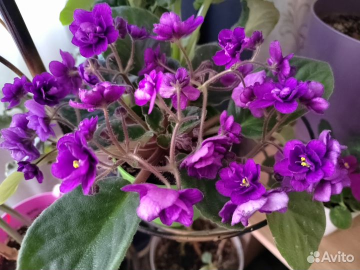 Ванночка с подставкой