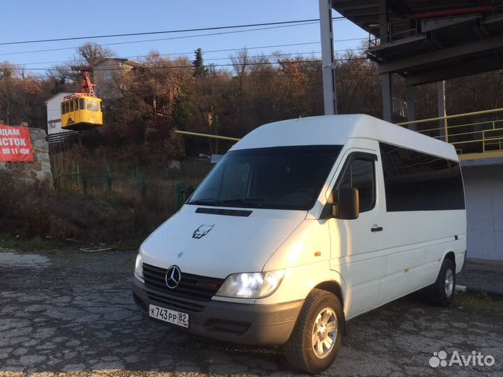 Поездки на Ай-Петри Экскурсии