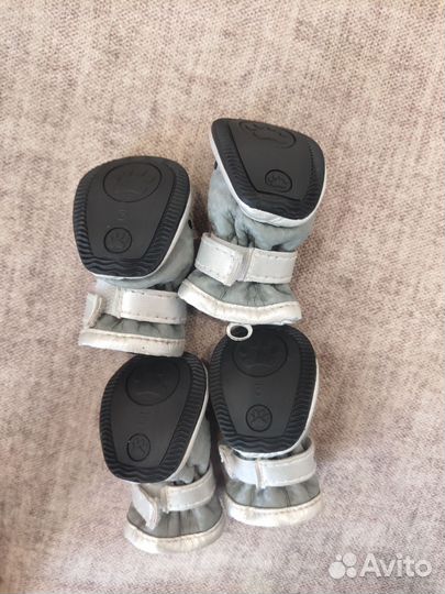 Ботинки для собак мелких пород