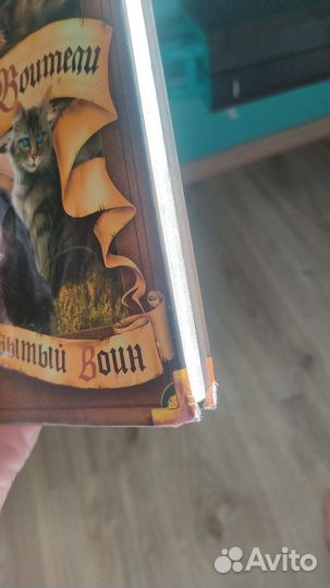 Эрин Хантер Коты Воители Забытый воин