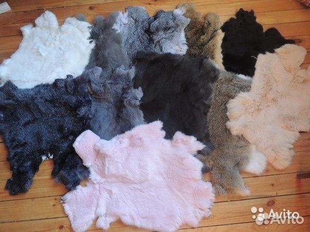 Шкурки кролика