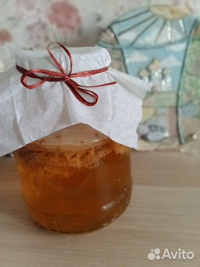 Чайный гриб