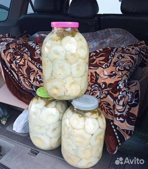 Грузди соленые 3 литра