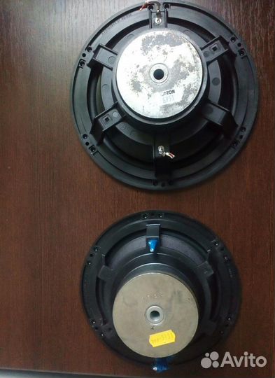 Динамики Canton