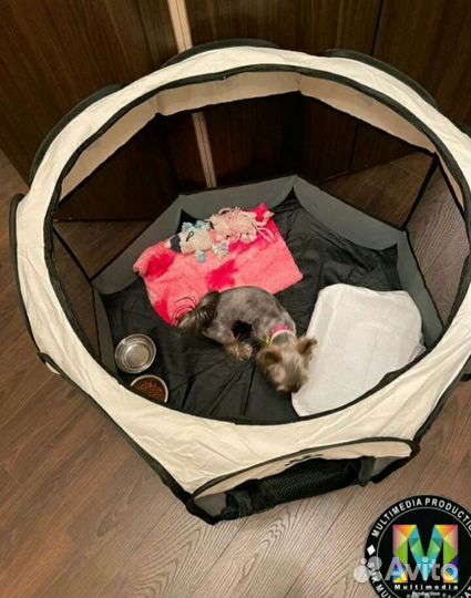 Вольер для собак и кошек