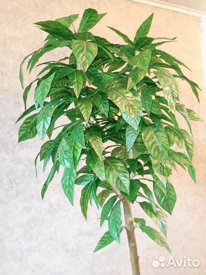 Манго (искусственное растение)