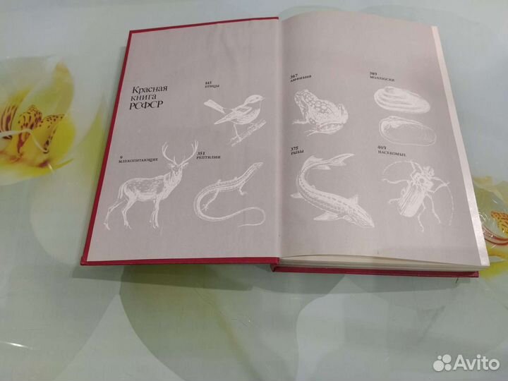 Красная книга РСФСР животные