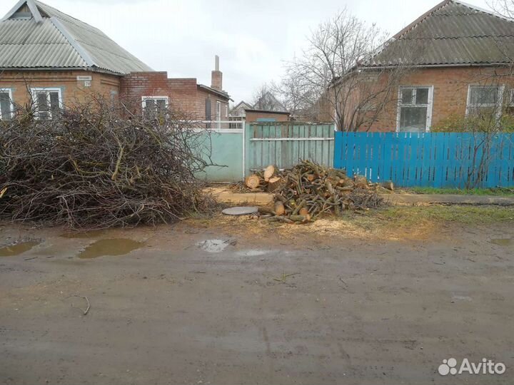 Покос травы. Спил деревьев