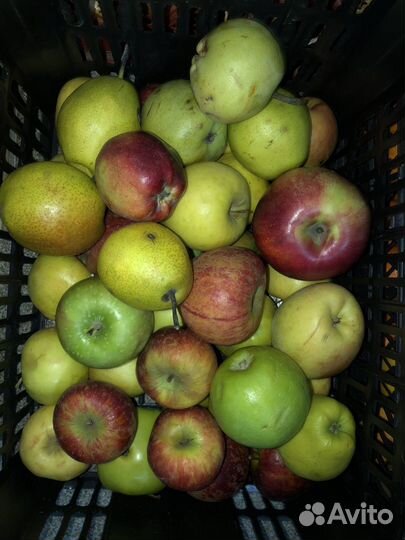 Продукты на корм для животных.)