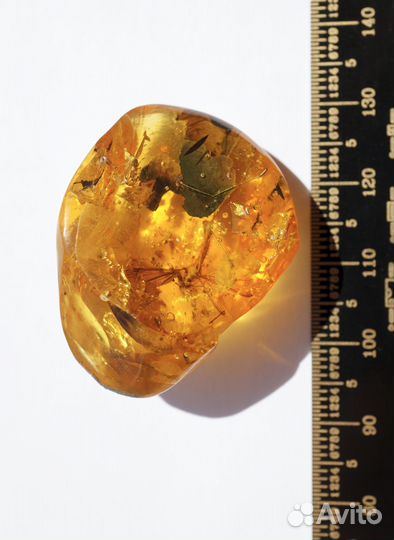 Натуральный балтийский янтарь с включением комаров