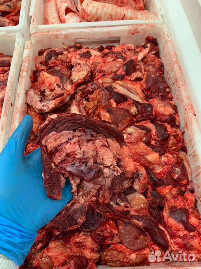 Обрезь сердца говяжьего