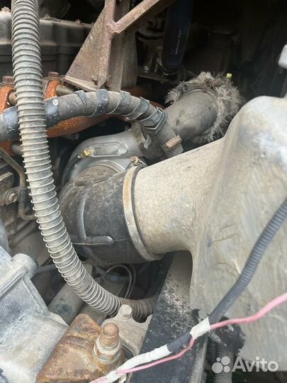 КамАЗ 65116, 2011