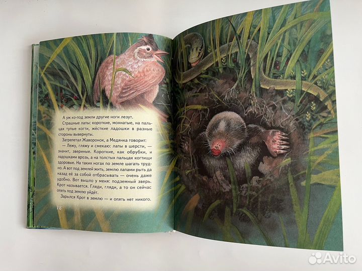 Сказки о животных. Виталий Бианки