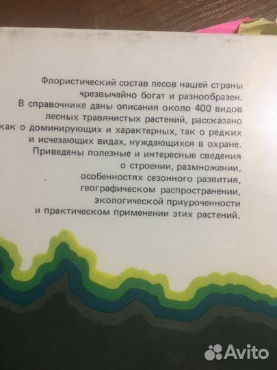 «Лесные травянистые растения»
