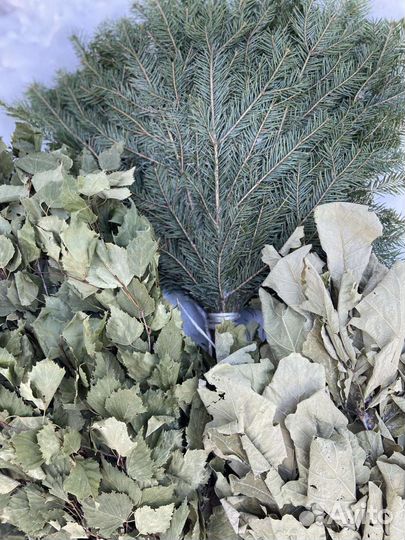 Веники дуб, пихта, можевельник, береза, эвкалипт