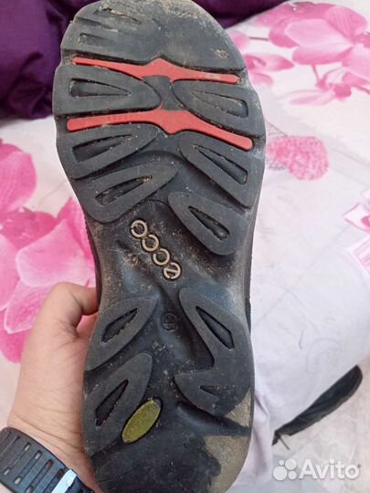 Кроссовки ecco мужские 44см