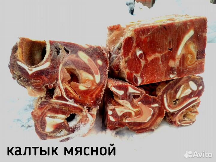 Натуральный корм для собак и кошек