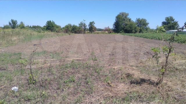 станица петропавловская краснодарский край улица исполкомовская 1. авито петропавловская курганинский. станица петропавловская курганинского района. курганинский район петропавловская станица улица гагарина 49. станица петропавловская краснодарский край.