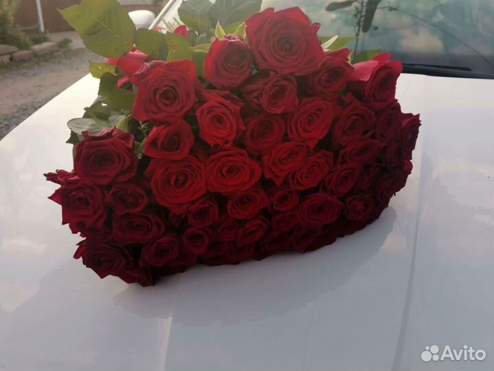 Розы, букет цветов, 101 роза. Розы опт