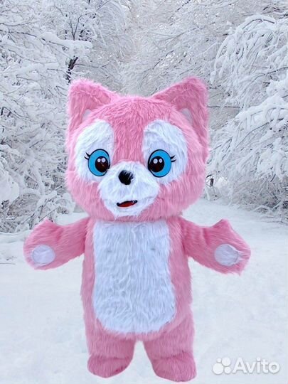 Экспресс поздравление