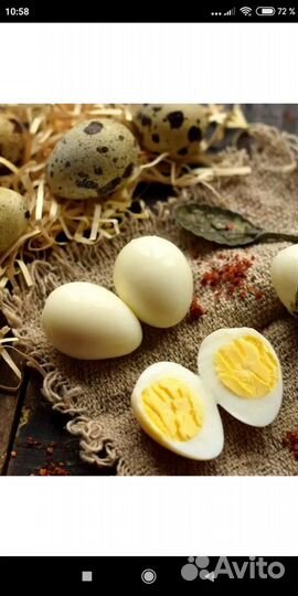 Яйца перепелиные домашние