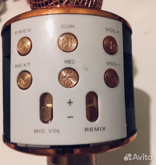 WS-858. Караоке колонка с микрофоном