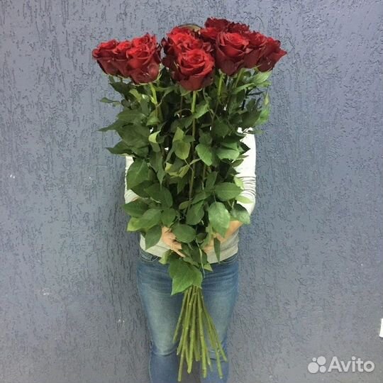 Розы Эквадор