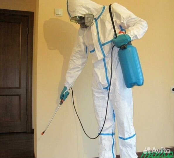 Дезинфекция от клопов, тараканов, крыс, муравьев