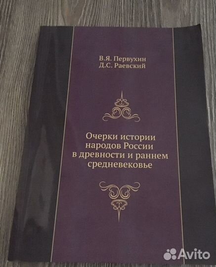 Очерки из истории Петрухин и Раевский