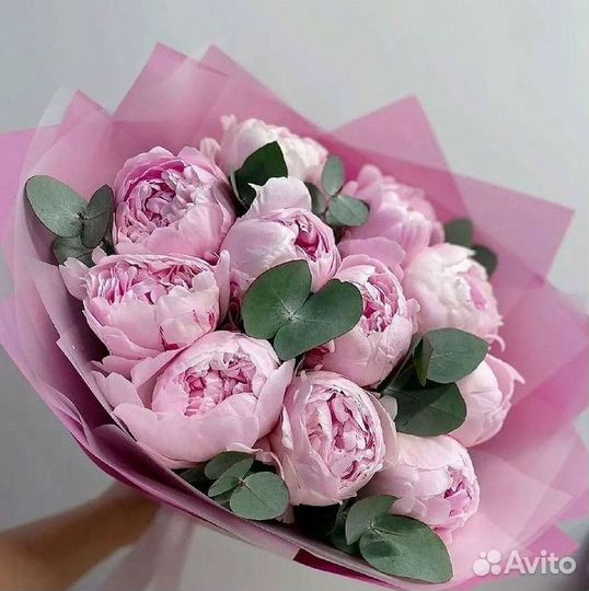 Пионы Цветы Доставка