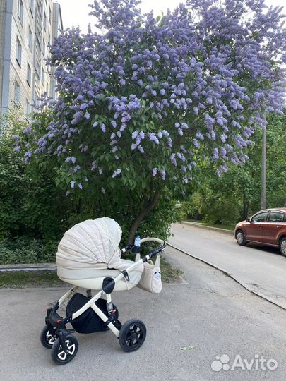 Коляска adamex 2 в 1