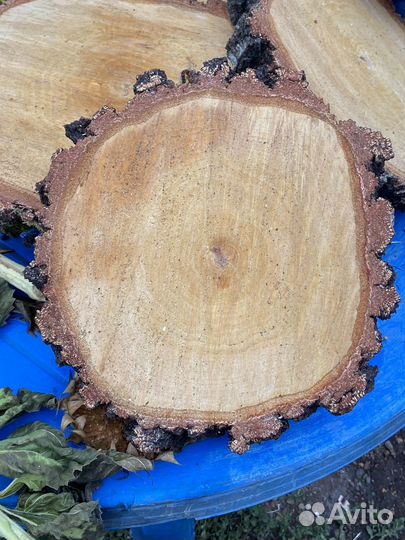 Спилы дерева